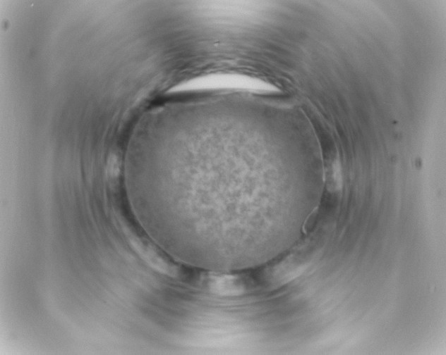 X0000088850472200706221704