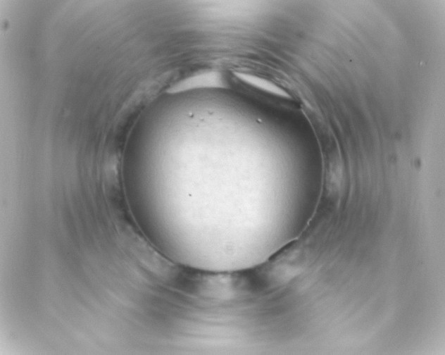 X0000088850473200706221705