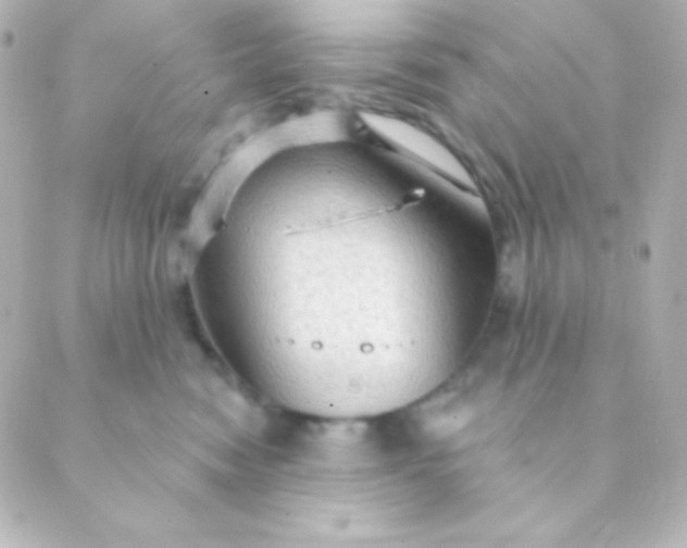 X0000088850474200706221705