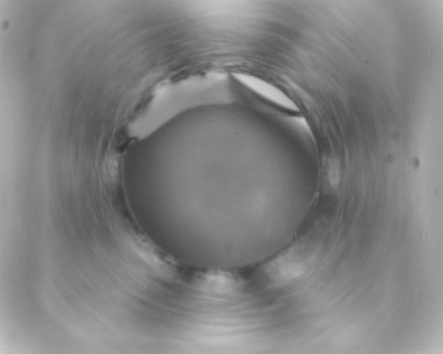 X0000088850475200706221705