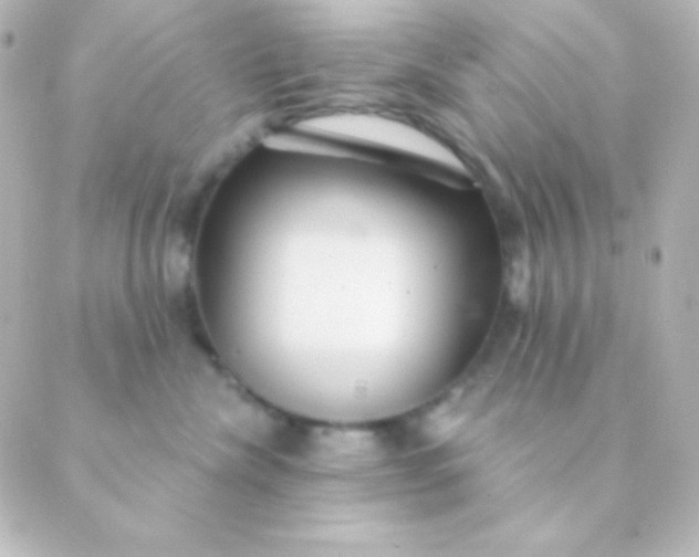 X0000088850476200706221705