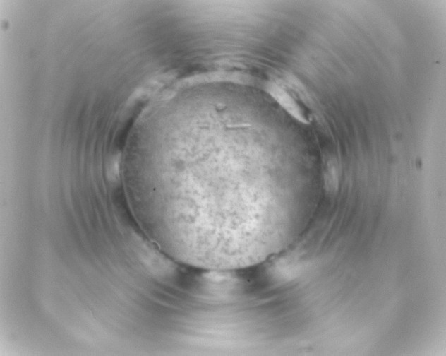 X0000088850477200706221705