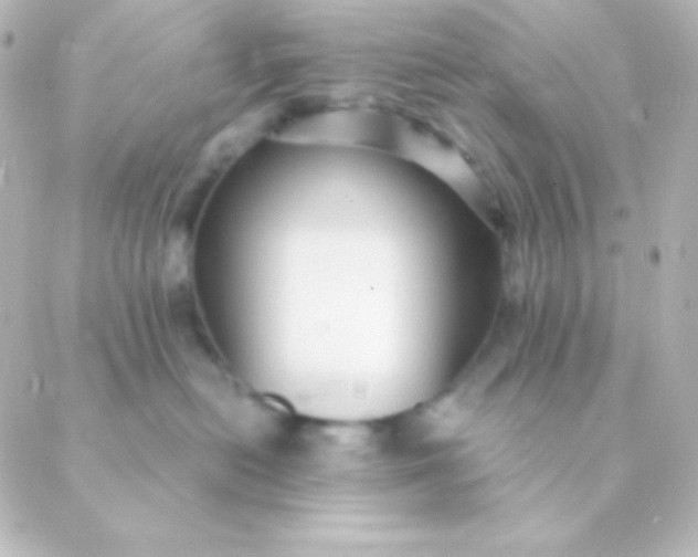 X0000088850478200706221705