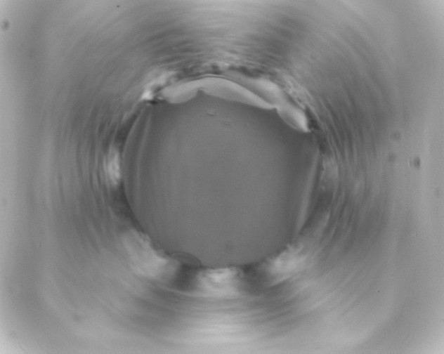 X0000088850479200706221705