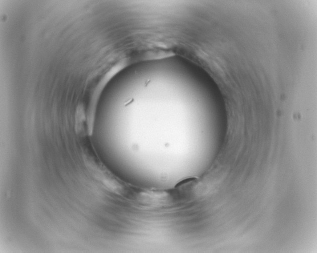 X0000088850480200706221705