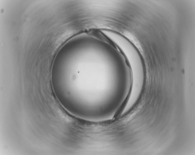 X0000088850481200706221704