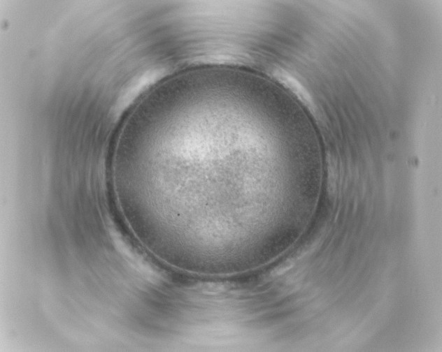 X0000088850482200706221704