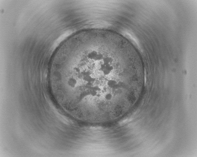 X0000088850483200706221704