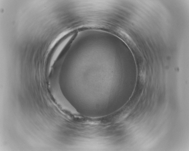 X0000088850484200706221704