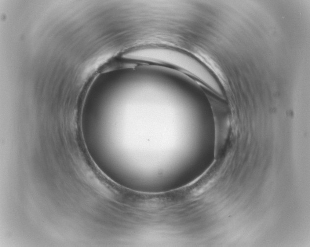 X0000088850485200706221704