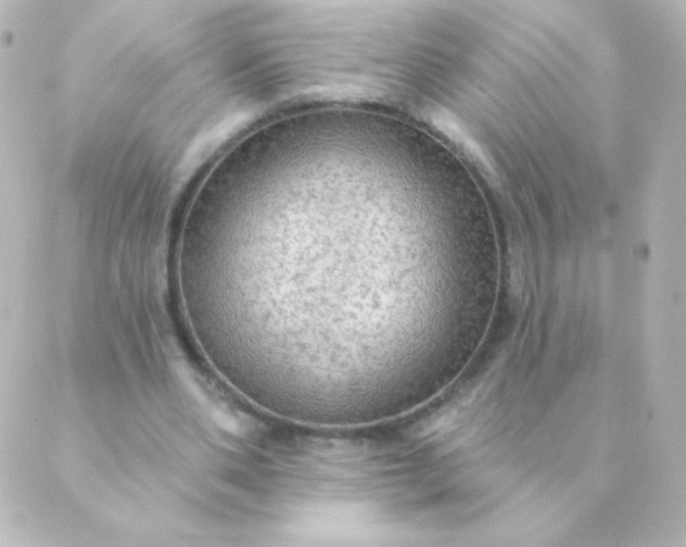 X0000088850486200706221704