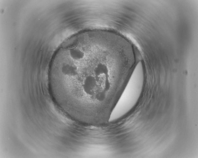 X0000088850487200706221704