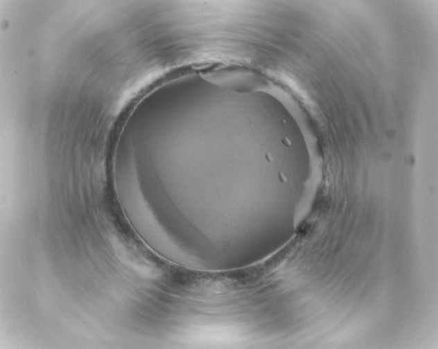 X0000088850488200706221704