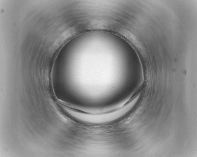 X0000088850489200706221704