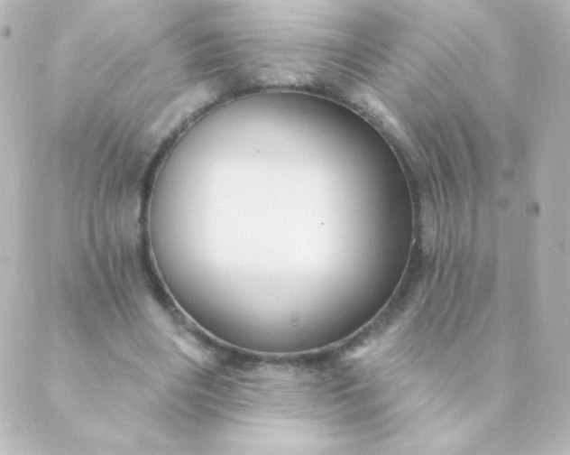 X0000088850490200706221704