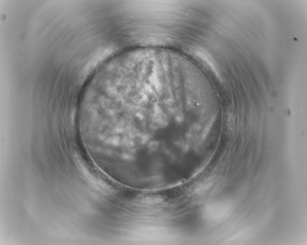 X0000088850491200706221704