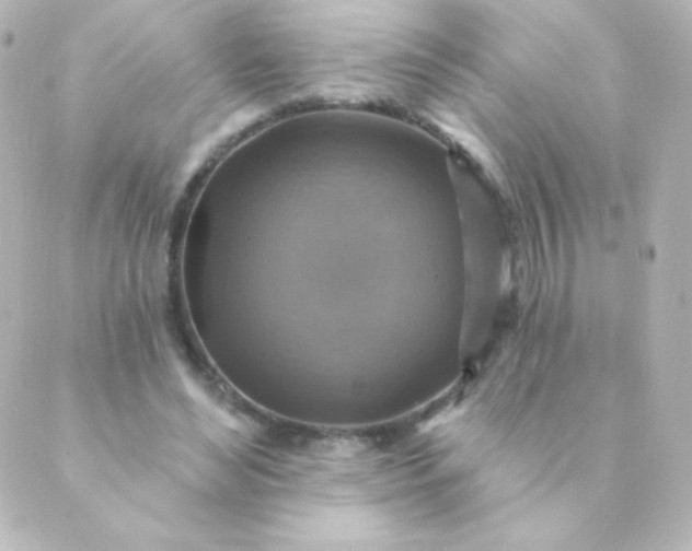 X0000088850492200706221704