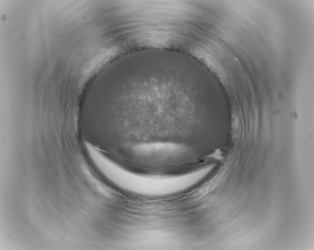 X0000088850493200706221704