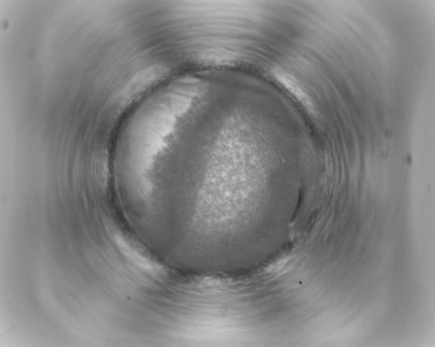 X0000088850494200706221704