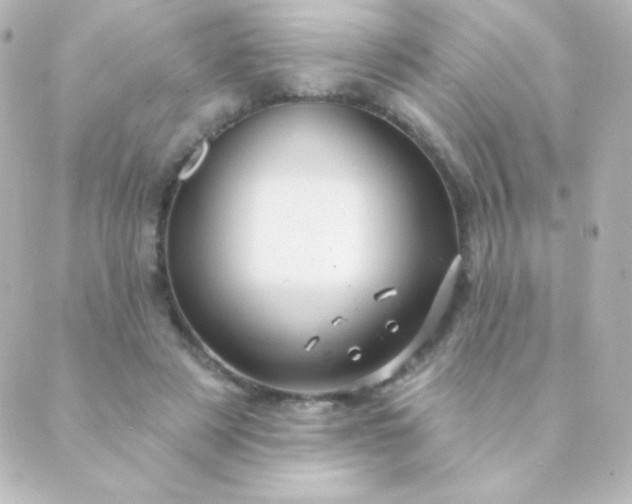 X0000088850497200706221704