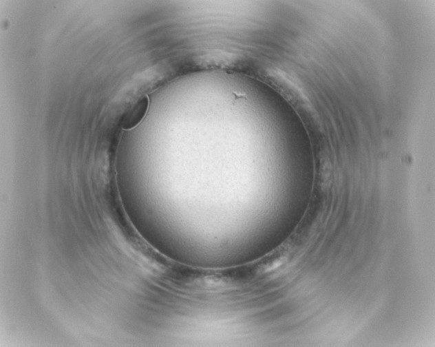 X0000088850498200706221704