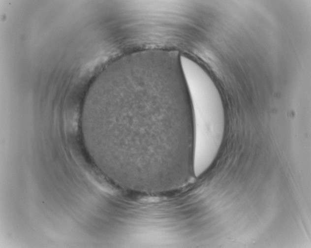 X0000088850499200706221704