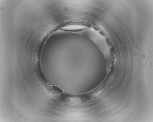 X0000088850500200706221704