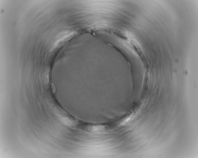 X0000088850501200706221704