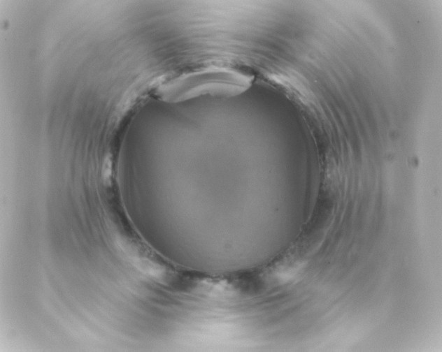 X0000088850502200706221704