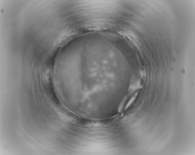 X0000088850503200706221703