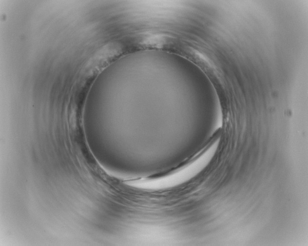 X0000088850504200706221703