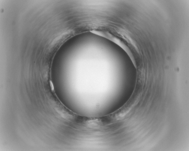 X0000088850505200706221703