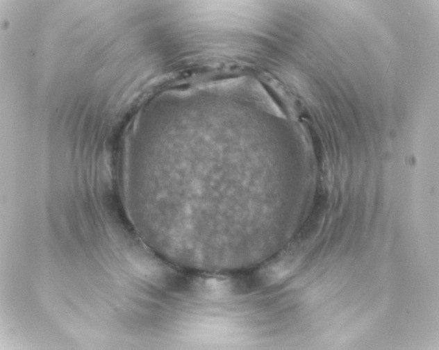 X0000088850506200706221703