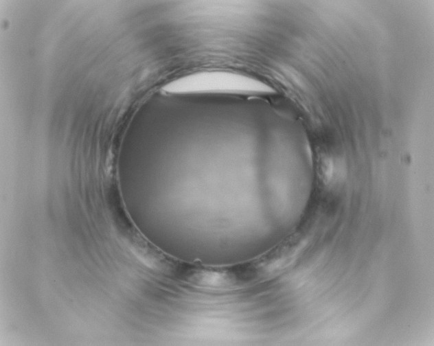 X0000088850507200706221703