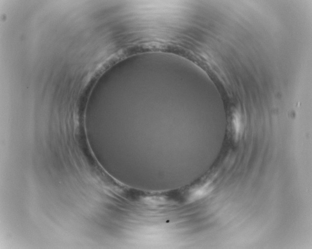 X0000088850508200706221703