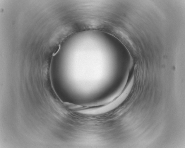 X0000088850509200706221703