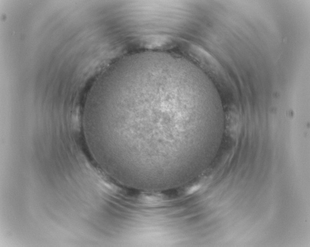 X0000088850510200706221703