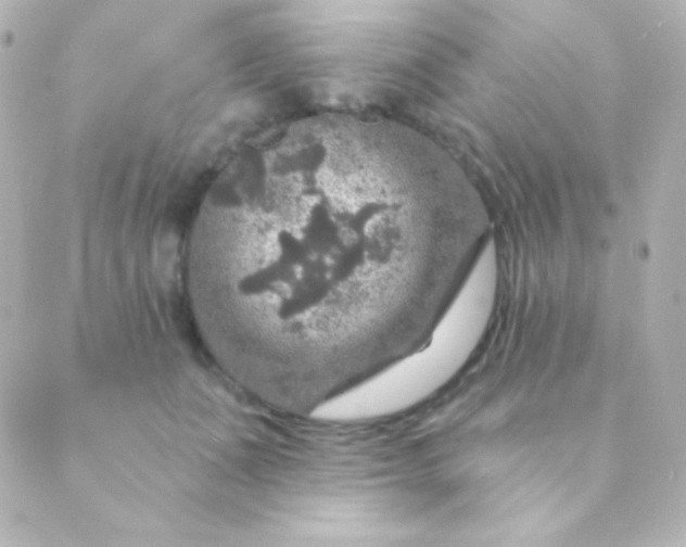 X0000088850511200706221703