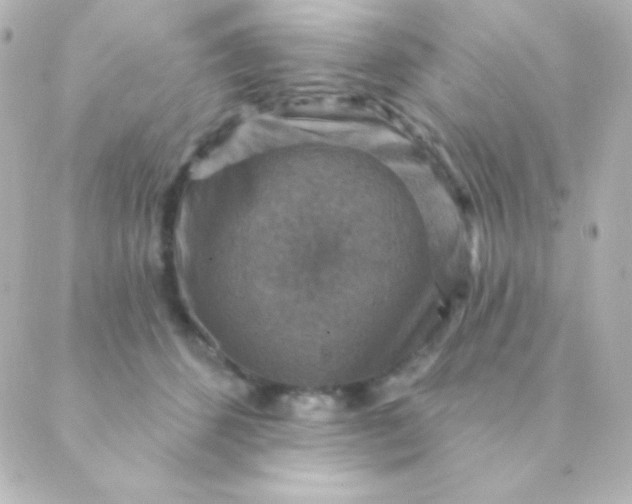 X0000088850512200706221703