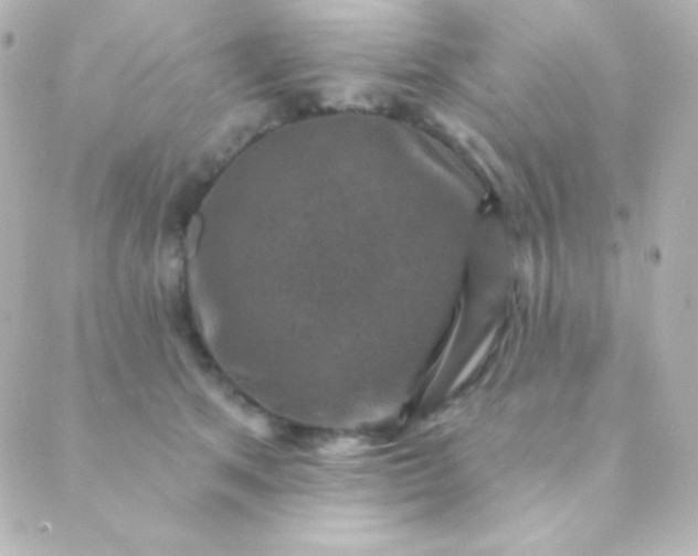 X0000088850513200706221703