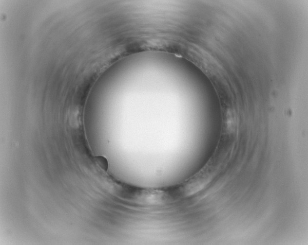 X0000088850514200706221703