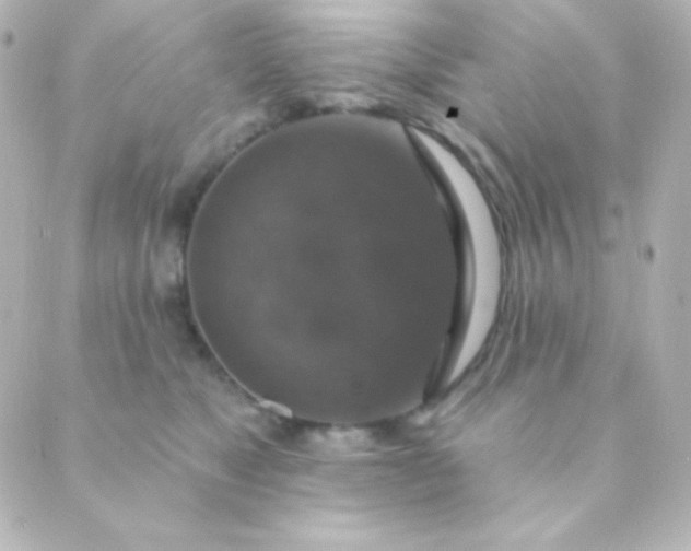 X0000088850517200706221703