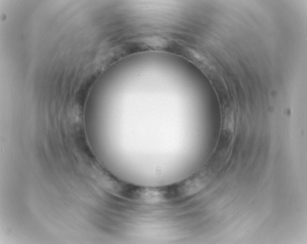 X0000088850518200706221703