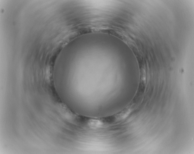 X0000088850519200706221703