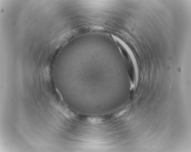 X0000088850520200706221703