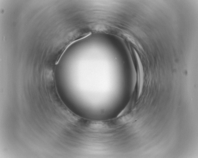 X0000088850521200706221703