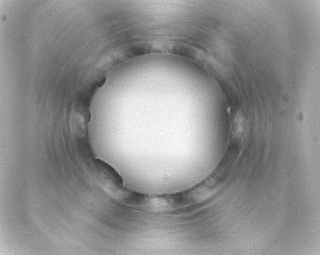 X0000088850522200706221703