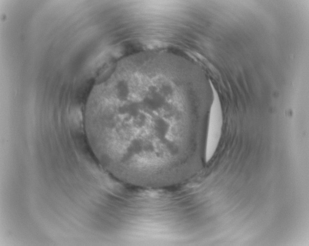 X0000088850523200706221703