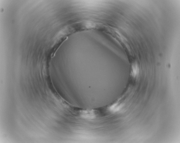 X0000088850524200706221703