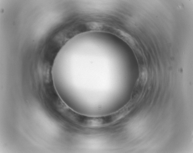 X0000088850525200706221703